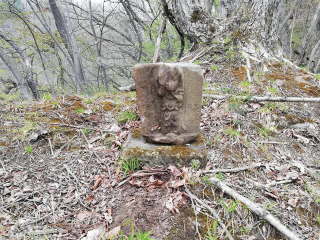 画像に含まれている可能性があるもの:木、屋外